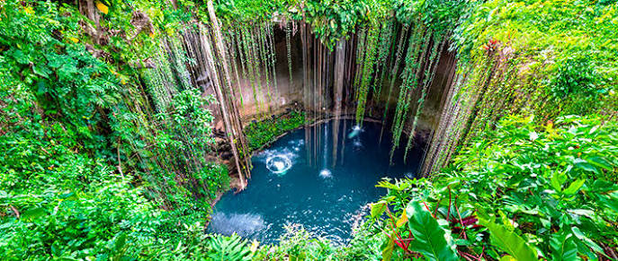 RIVERA MAYA